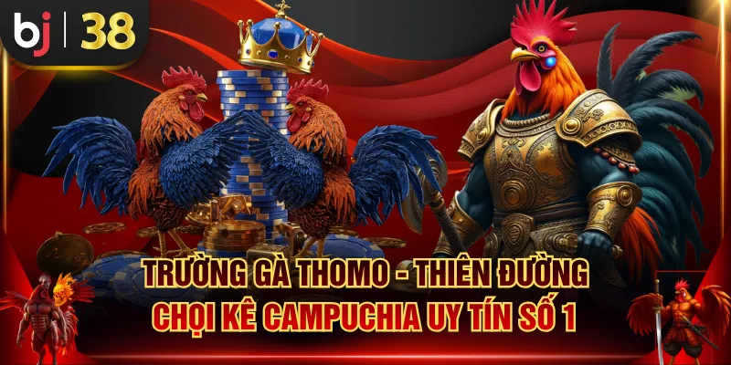 Trường gà Thomo